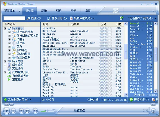 Windows Media Player Media Library
